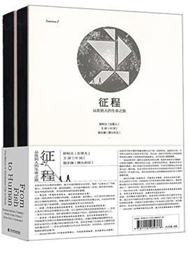 三肖必中三期必出凤凰网昨天,执行机制评估_CHY9.215别致版