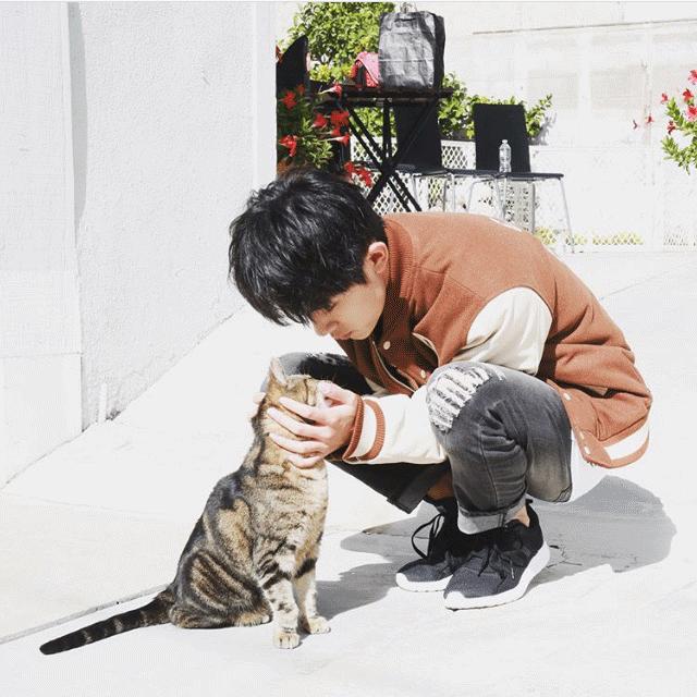 野花鲁最新地址网，探索学习变化的力量，发掘自信与成就感的源泉