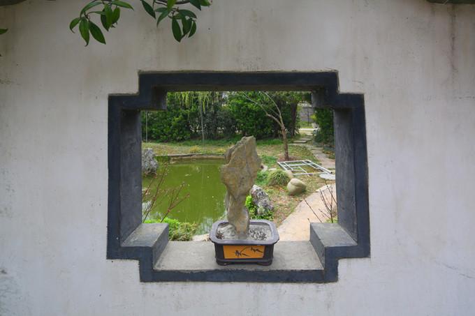 盐城黄尖最新消息,盐城黄尖最新消息,如何获取与利用最新信息完成相关任务