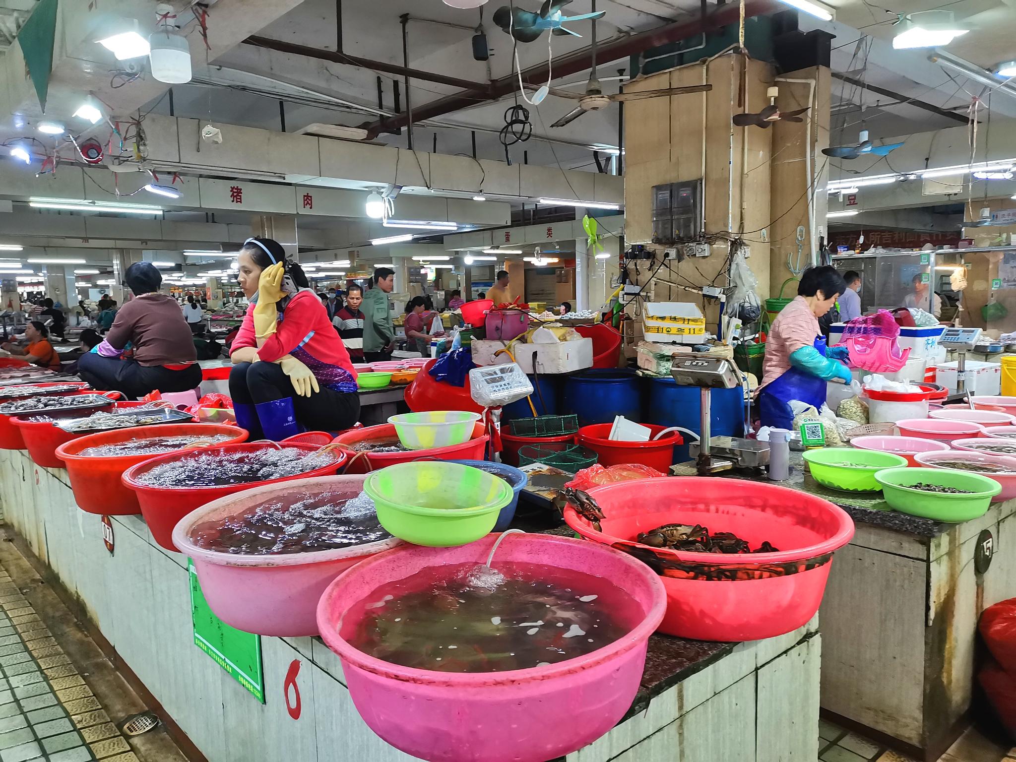 东方巿场最新消息,东方市场最新消息,科技新品引领未来生活潮流