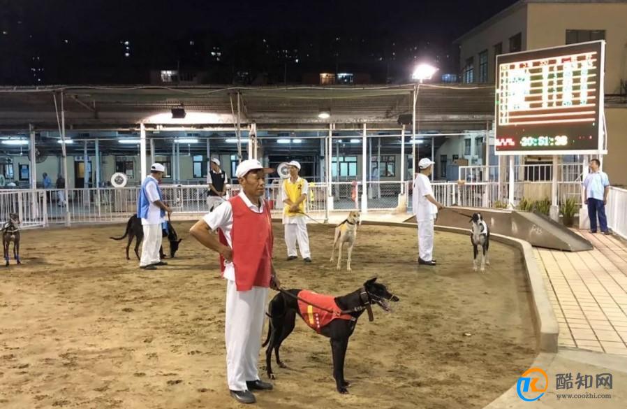 7777788888跑狗图资料,实地数据评估分析_KNK9.229携带版