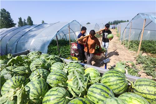 光山南向店最新动态报道📣📣📣