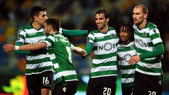 澳门天天开彩正版免费大全,实时异文说明法_GDT83.356设计师版