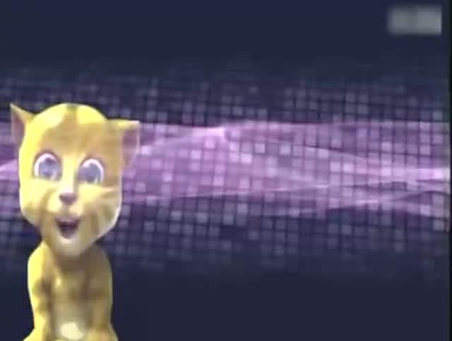 最新金猫侠说段子大全,深度分析与个人立场探讨