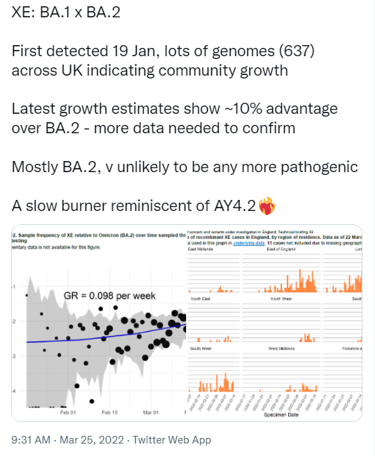 2024年11月份新病毒头晕,持续改进策略_JSX83.511体验版