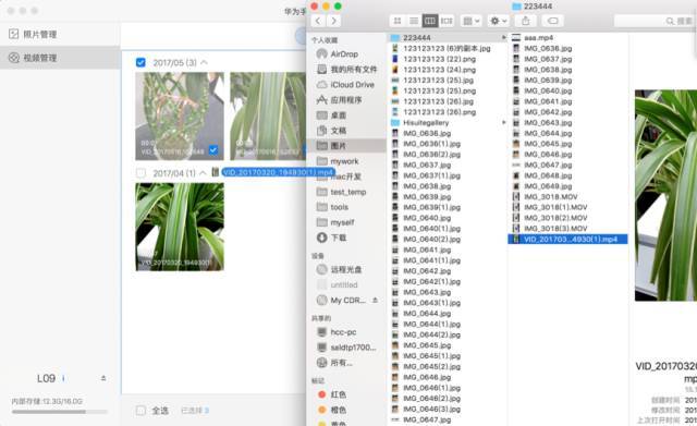 2024年澳门资料免费大全,数据引导设计方法_ILF58.704职业版