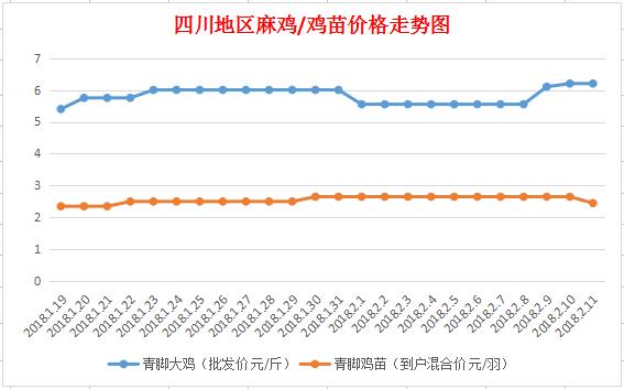 四川鸡最新行情揭秘,价格动态与小巷深处的鸡香探秘