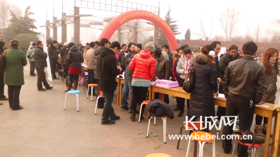 沧州新华区最新招聘探索巷弄深处的独特风景!