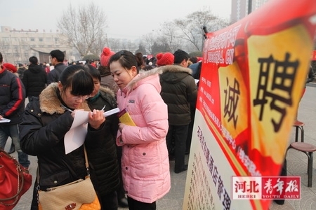 沧州新华区最新招聘探索巷弄深处的独特风景!