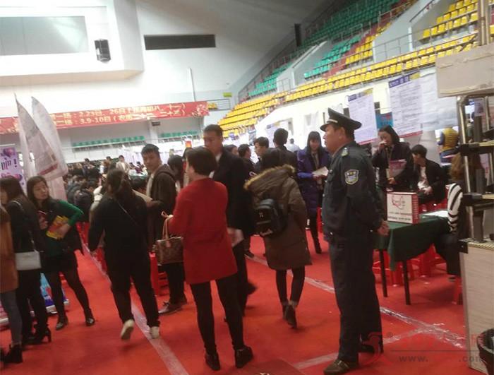 泉州市司机最新招聘,驾驭未来,从学习启程