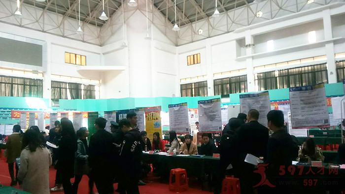 泉州市司机最新招聘,驾驭未来,从学习启程