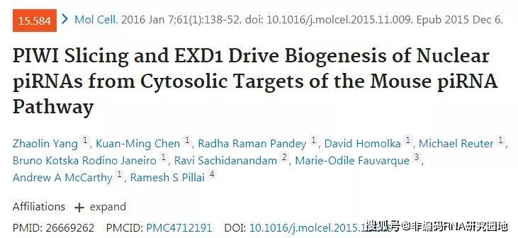 2024新奥资料免费精准061,专业解读操行解决_HBG83.109结合版