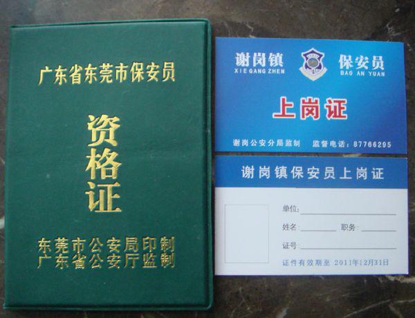 澳门六资料大全,安全设计方案评估_EEE9.676通行证版