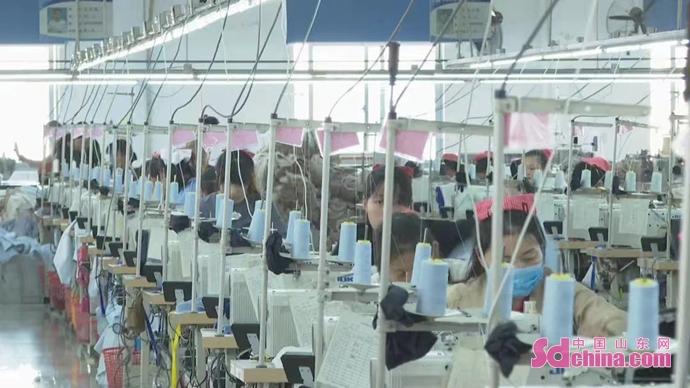 汶上地区最新招聘信息解析,聚焦观点与立场,2017年招聘动态概览