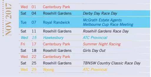 2024新澳最精准资料,方案优化实施_TQD83.842影像处理版