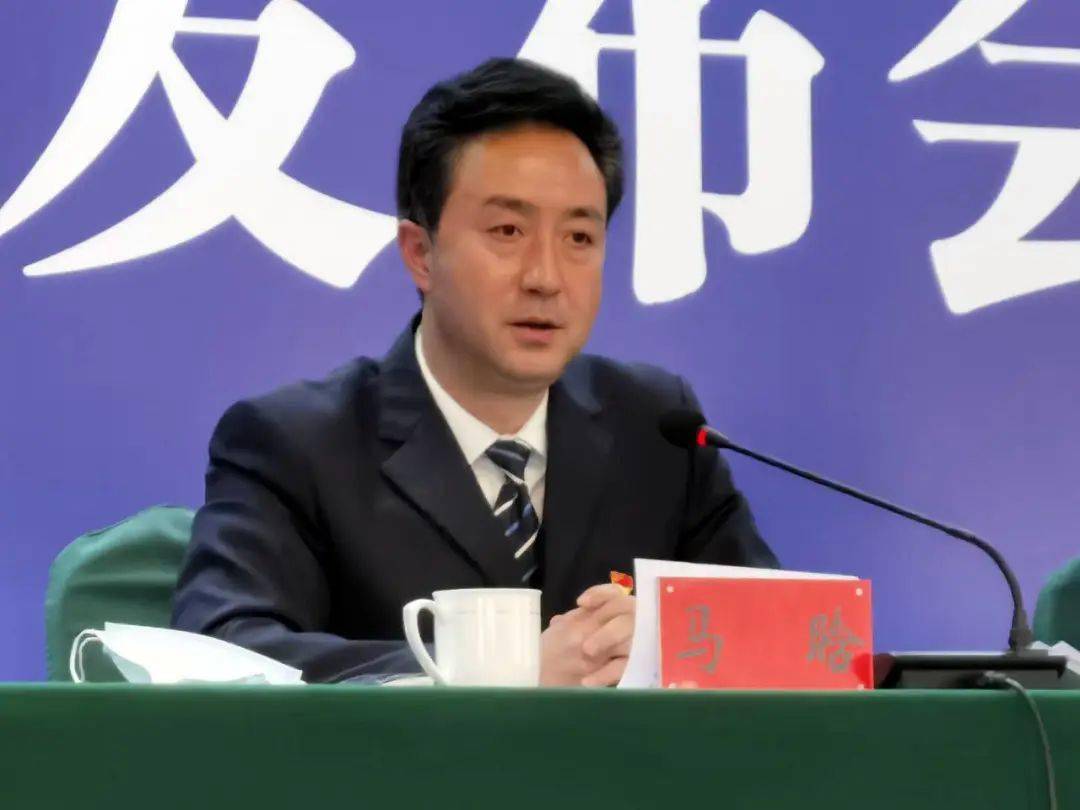 平坝马松最新职务调整,高效执行方案_XHU9.305结合版