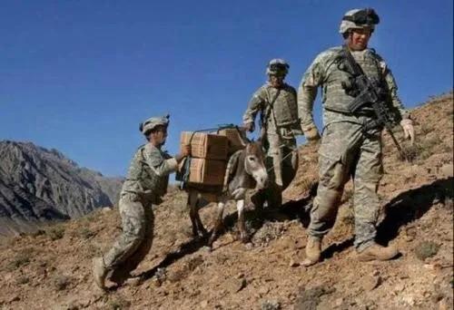 印度边界事件最新动态,跨越界限的温暖友情故事