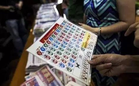 今日香港6合彩开奖结果查询,高度协调实施_OCG9.422专业版