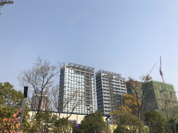 滨湖向上城最新动态，城市奋进与个体自信成长的同步之路