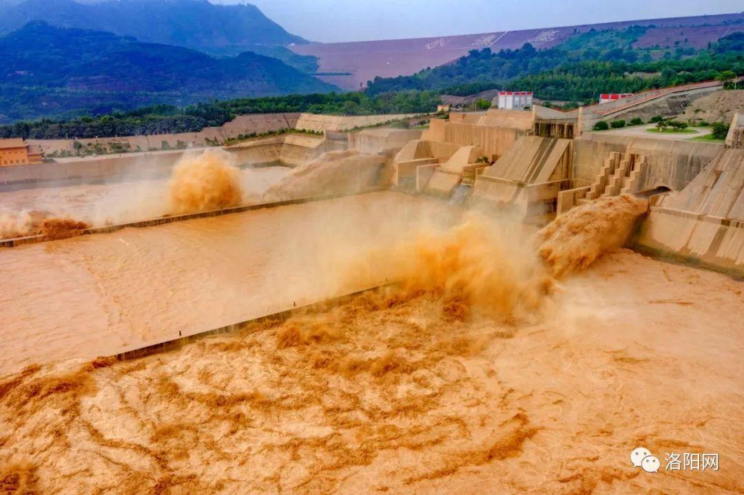 呐沙台风，逆风中的励志故事与成就感的交响曲