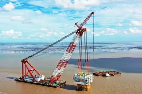 呐沙台风,逆风中的励志故事与成就感的交响曲