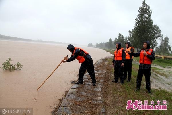 呐沙台风,逆风中的励志故事与成就感的交响曲