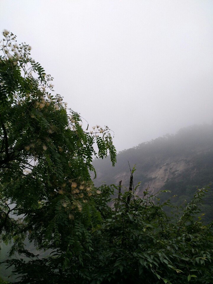 鲁山县天气预报最新详解，步骤指南与最新天气预测报告