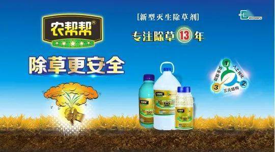 敌草快原药最新报价及其探讨与分析