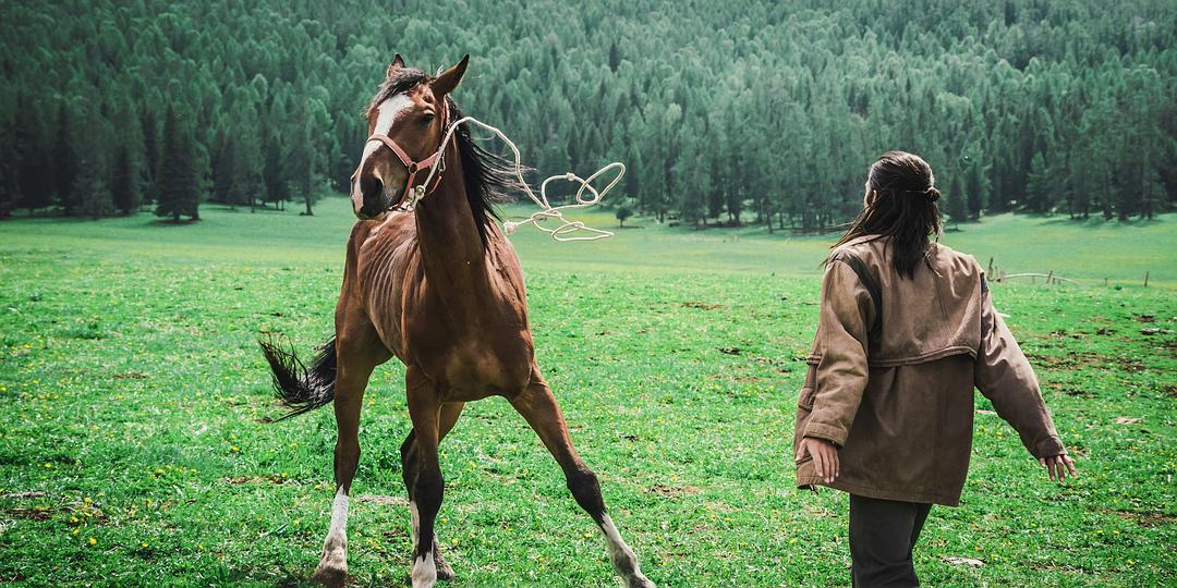 请把澳门特马的资料发过来看一下,具象化表达解说_瞬间版99.512