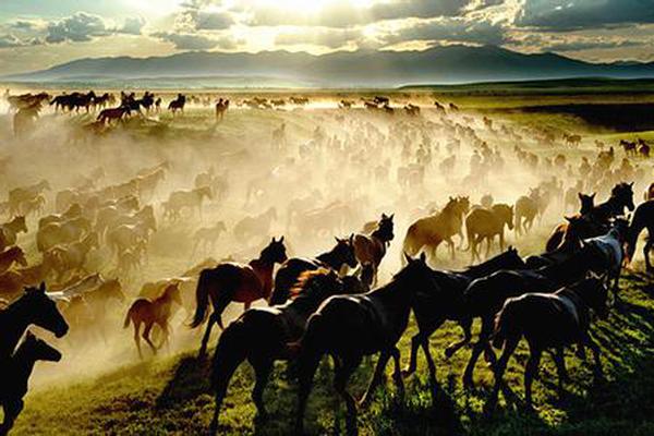 请把澳门特马的资料发过来看一下,具象化表达解说_瞬间版99.512