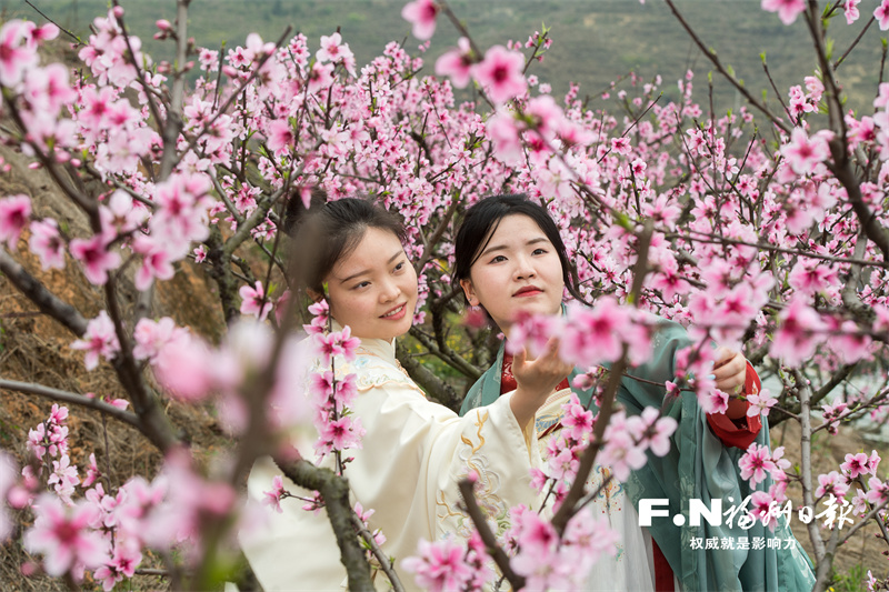 桃花村女人,高科技产品引领未来生活新篇章的最新章节