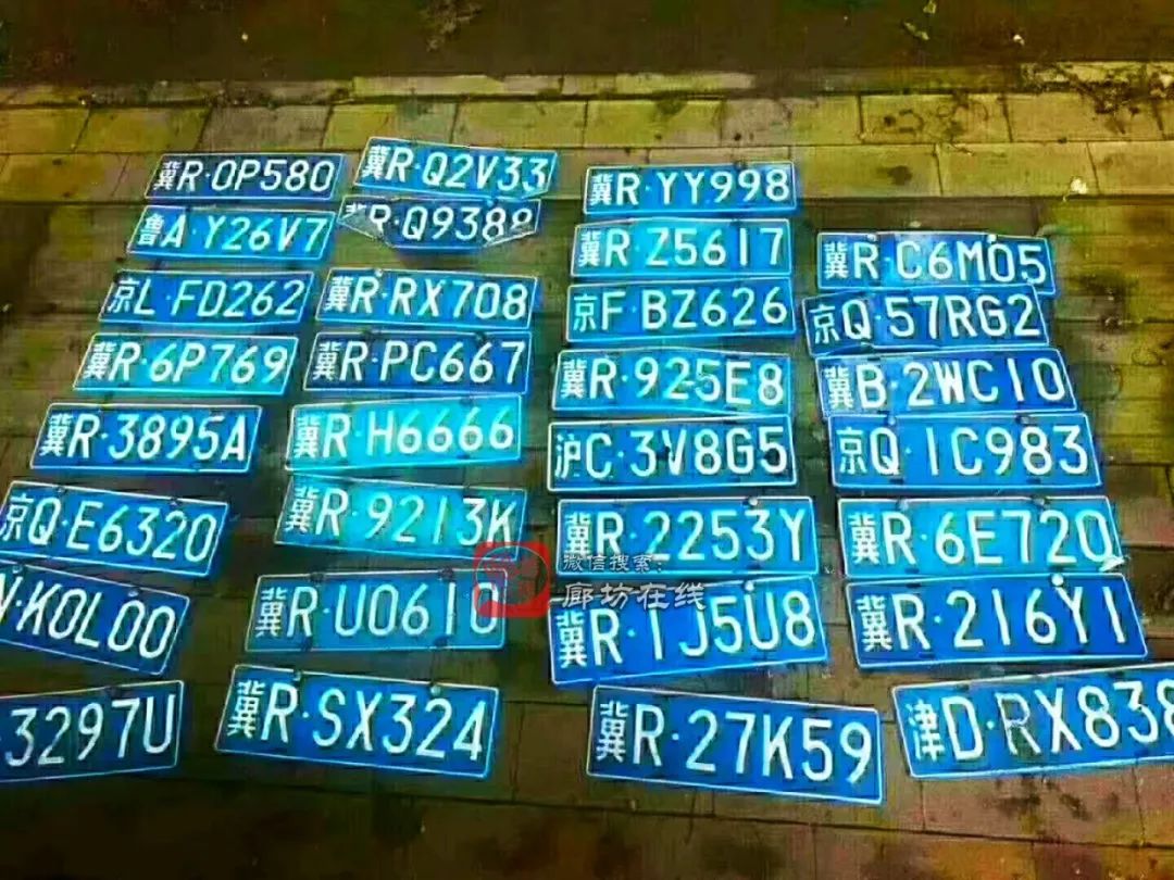 廊坊上牌照最新动态,温情陪伴与最新故事