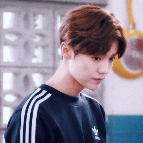 鹿晗微博头像更新，时尚潮流与个人魅力的展现最新照片