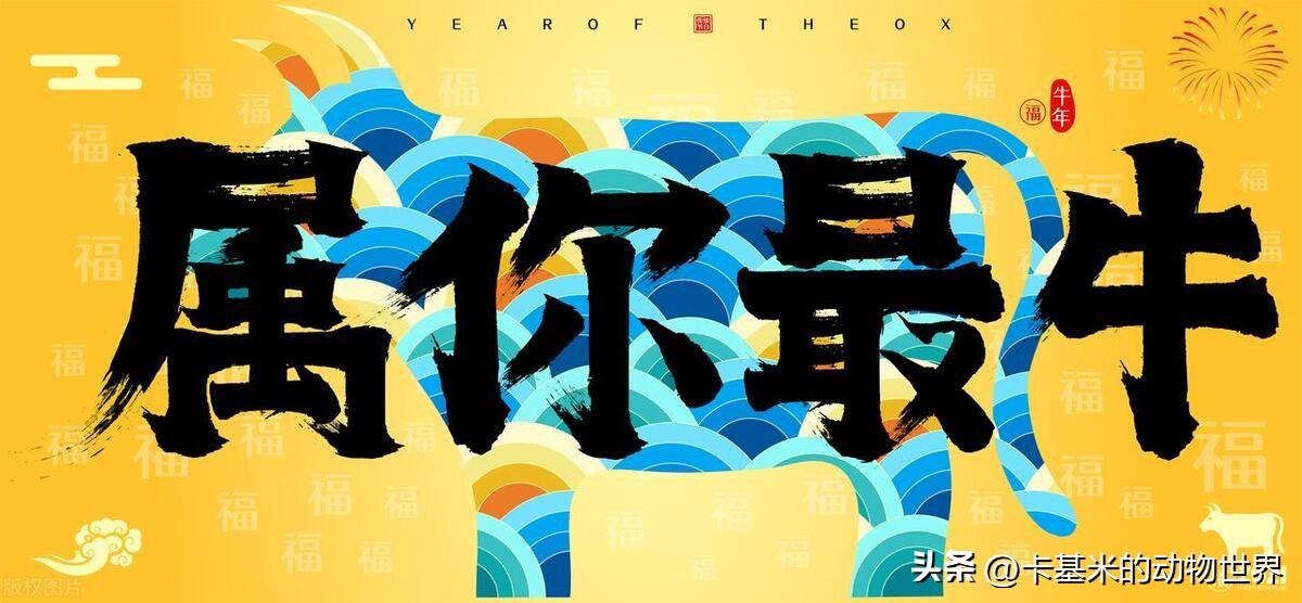 2024年12生肖49码图,数据整合决策_远程版65.414