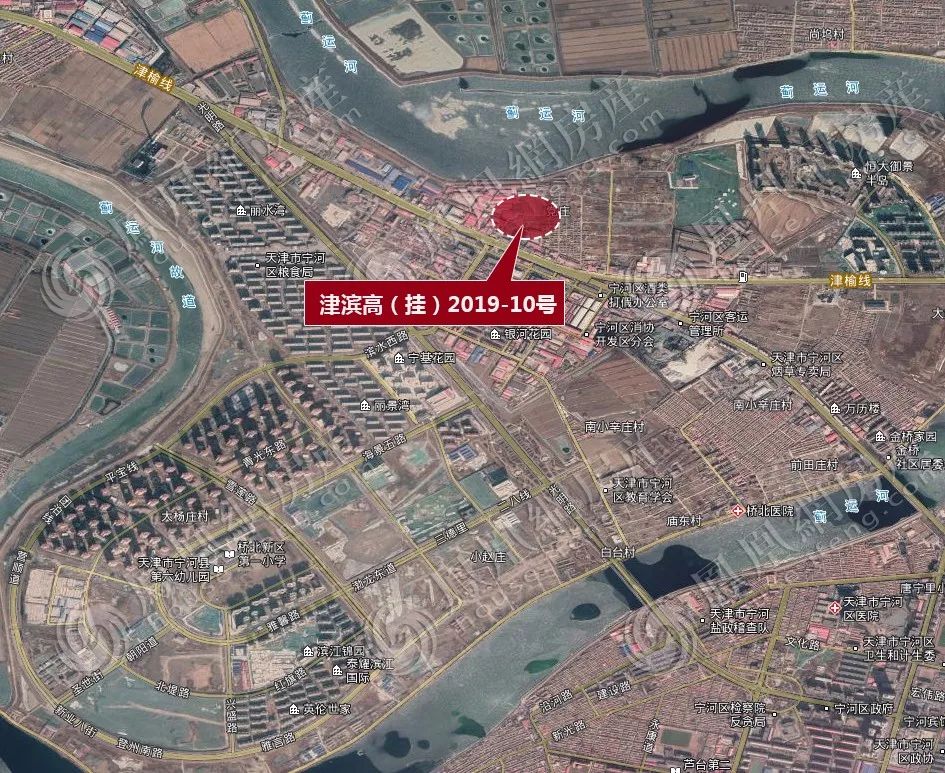 宁河贴吧最新消息，小镇日常趣事与情感纽带揭秘