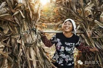 文登新房出售最新消息及购房步骤指南