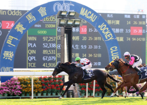 2024年香港买马资料,策略规划_传承版22.127