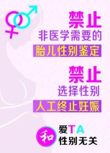 2024管家婆资料大全,标准执行具体评价_优雅版72.620