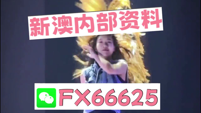 新澳门内部一码精准免费观看公开,专家权威解答_影音版10.495