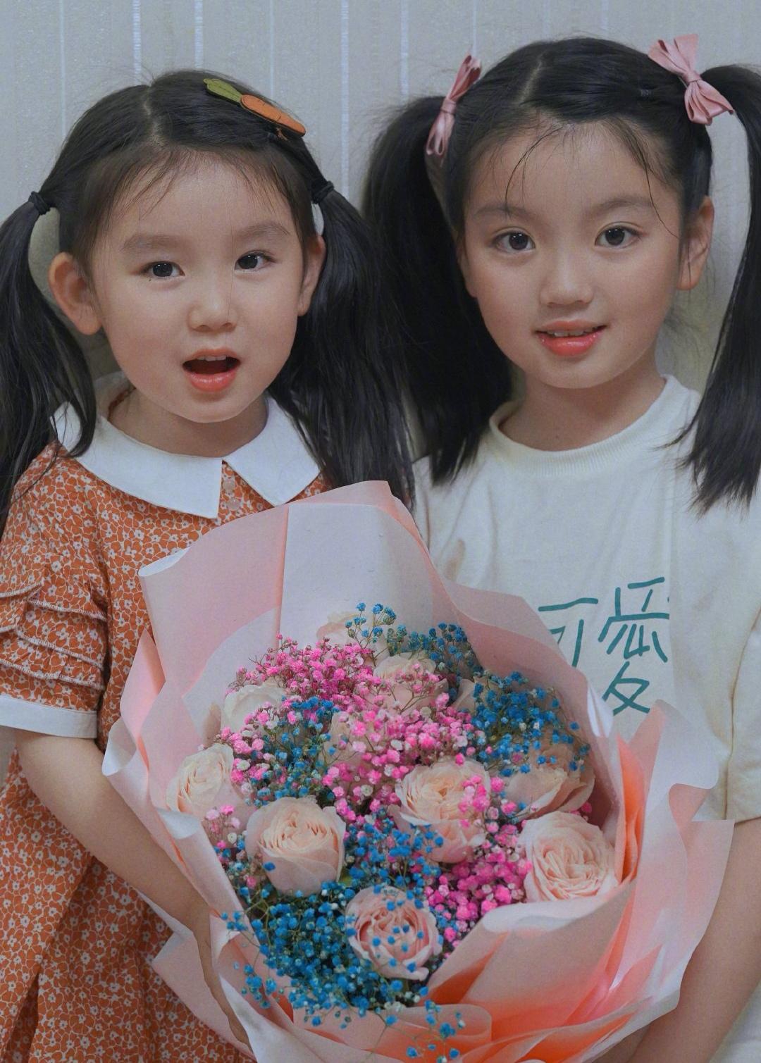 董力阿拉蕾最新动态全面追踪指南，最新报道与深度了解