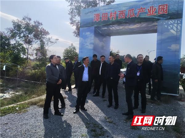 新田红网最新消息获取与利用指南