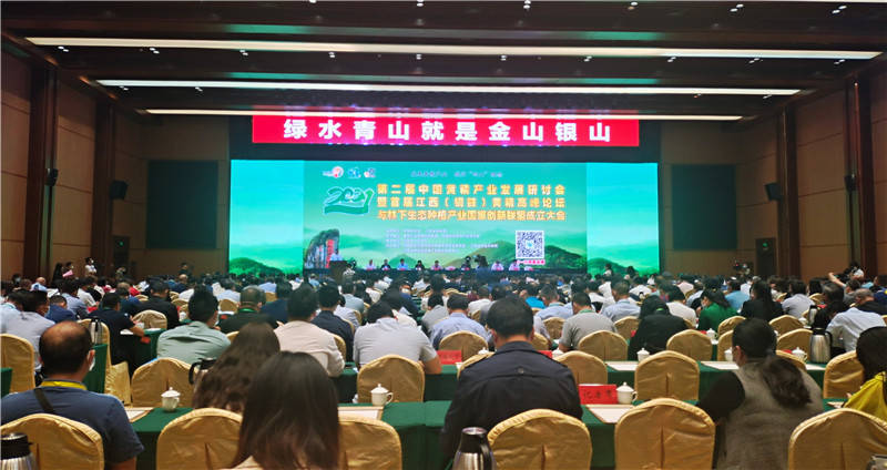 22324濠江论坛最新消息,创新发展策略_掌中宝94.670