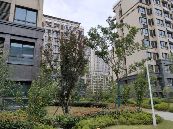 文一西溪湾最新动态,城市发展的璀璨明珠引领未来