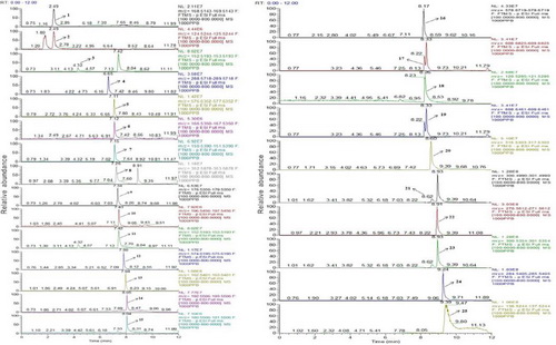 944cc天天彩资料大全最新版本更新时间,定性解析明确评估_量身定制版66.798