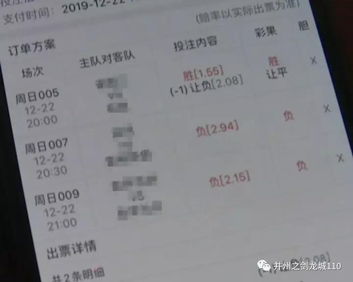 香港天下彩最准四不像彩票开奖女王,。?!????,科学分析严谨解释_零障碍版74.497