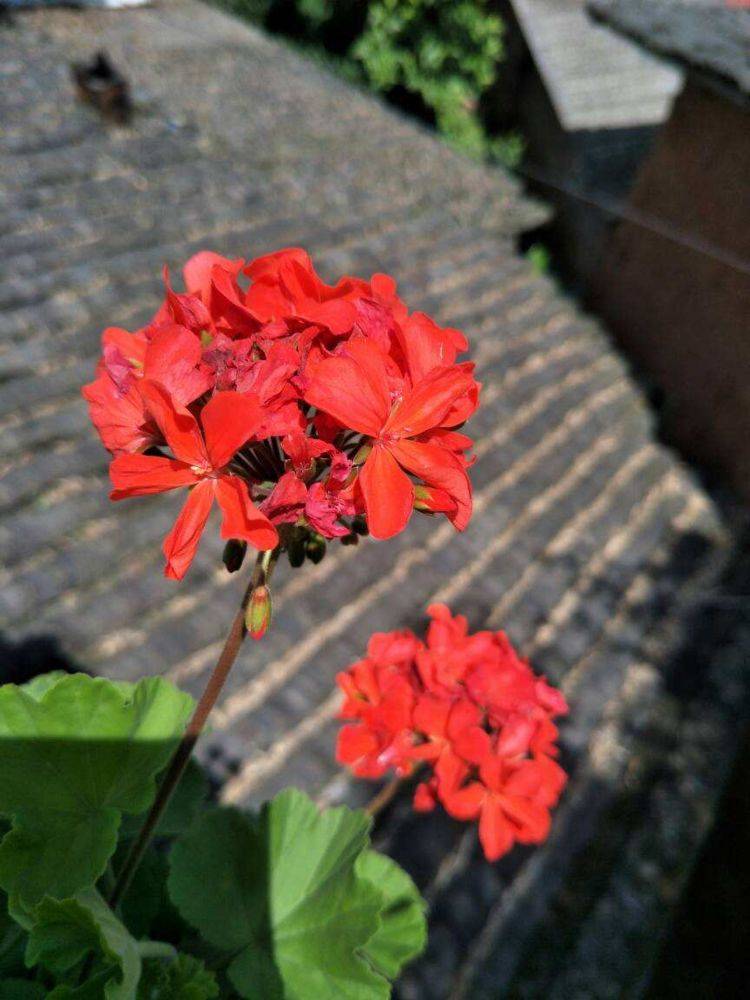 新澳门天夭好彩免费大全新闻,快速问题处理_别致版60.752