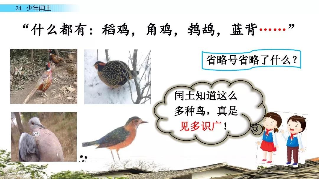 ww77766开奖结果最霸气二四六,动态解读分析_无线版24.981