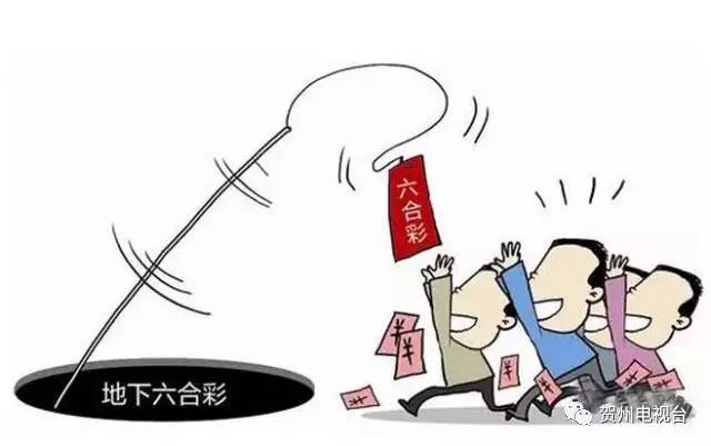 澳门六合资料库,高速应对逻辑_本地版26.598