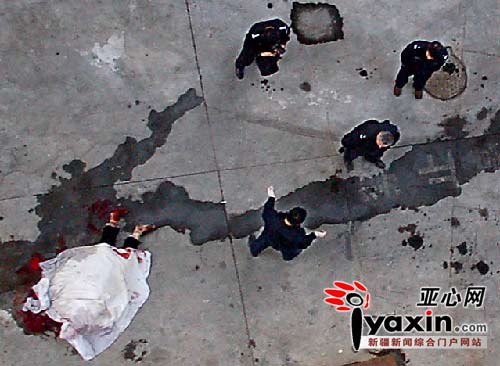 刘强玛纳斯坠楼原因分析,精准数据评估_黑科技版11.102