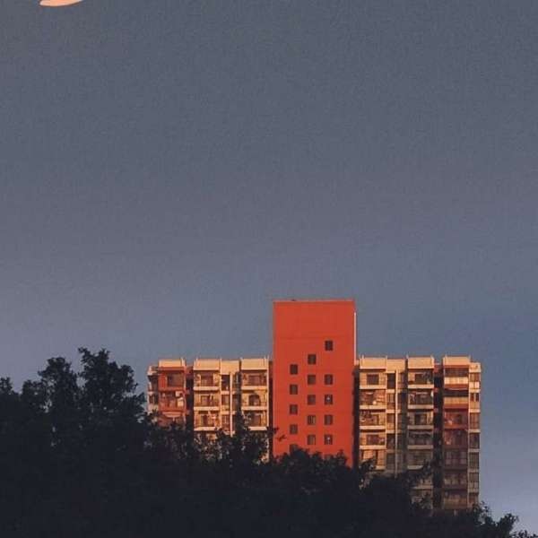 澳门天天彩免费资料大全,高效执行方案_多媒体版54.125